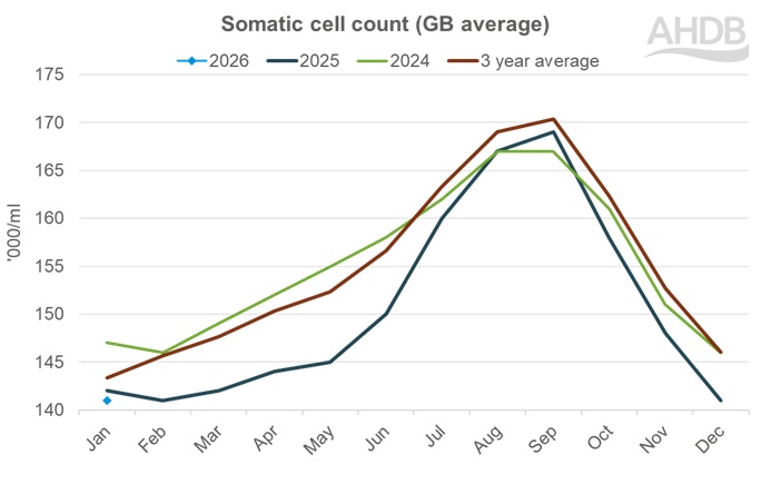 Line chart showing GB average somatic cell count for 2024, 2025, 2026 and the three‑year average.